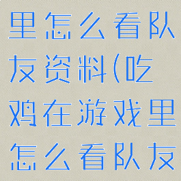 吃鸡在游戏里怎么看队友资料(吃鸡在游戏里怎么看队友资料库)