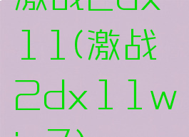 激战2dx11(激战2dx11win7)