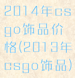 2014年csgo饰品价格(2013年csgo饰品)