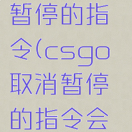 csgo取消暂停的指令(csgo取消暂停的指令会怎么样)