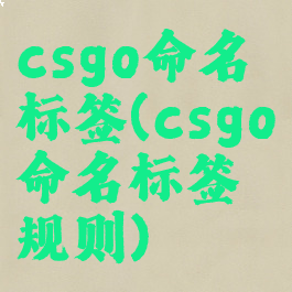 csgo命名标签(csgo命名标签规则)
