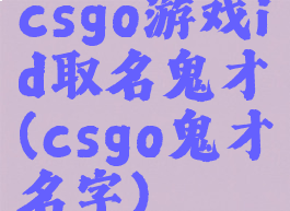 csgo游戏id取名鬼才(csgo鬼才名字)