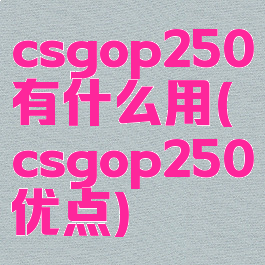 csgop250有什么用(csgop250优点)
