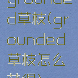 grounded草枝(grounded草枝怎么获得)