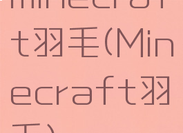 minecraft羽毛(Minecraft羽毛)