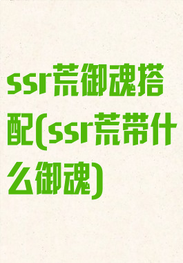 ssr荒御魂搭配(ssr荒带什么御魂)