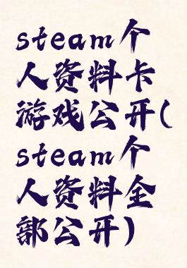 steam个人资料卡游戏公开(steam个人资料全部公开)