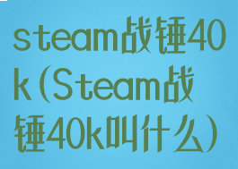 steam战锤40k(Steam战锤40k叫什么)