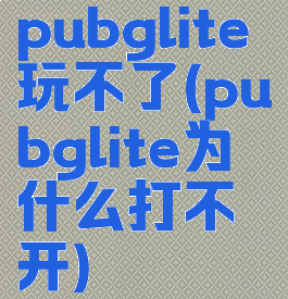 pubglite玩不了(pubglite为什么打不开)