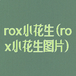 rox小花生(rox小花生图片)