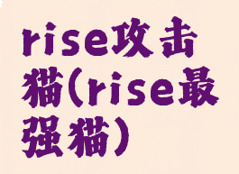 rise攻击猫(rise最强猫)